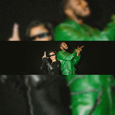 Pardison Fontaine artwork