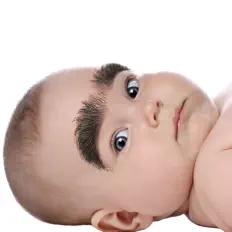 Ascolta Elio e le Storie Tese, guarda video musicali, leggi la biografia, vedi le date del tour & altro!