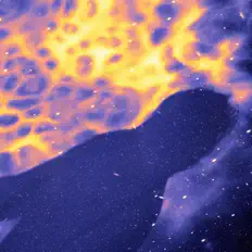 Kyno Jeeを聴いたり、ミュージックビデオを鑑賞したり、経歴やツアー日程などを確認したりしましょう！