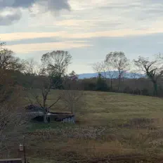 Captain Fern: песни, клипы, биография, даты выступлений и многое другое.