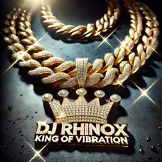 Listen to DJ Rhinox, watch music videos, read bio, see tour dates & more!