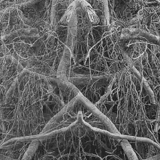 Lady Kabela을(를) 듣고, 뮤직 비디오를 보고, 약력을 읽고, 투어 일정 등을 확인하세요!