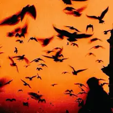 Hör dir LAZZY an, schau dir Musikvideos an, lies die Biografie, finde Tourdaten und mehr!