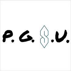 收听 Pretty Good State University、观看音乐视频、阅读小传、查看巡演日期等 ！
