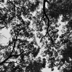 Escucha a 王彼得, mira videos musicales, lee su biografía, consulta las fechas de las gira y más.