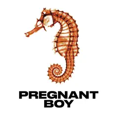 Pregnant Boyを聴いたり、ミュージックビデオを鑑賞したり、経歴やツアー日程などを確認したりしましょう！