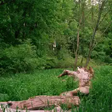 Escucha a Bryce Snodgrass, mira videos musicales, lee su biografía, consulta las fechas de las gira y más.