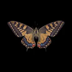 Bartosz Tessmer을(를) 듣고, 뮤직 비디오를 보고, 약력을 읽고, 투어 일정 등을 확인하세요!