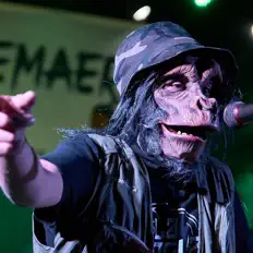 Écoutez Mr MonkeyFace, regardez des vidéoclips, lisez la biographie, consultez les dates de tournée et plus encore !