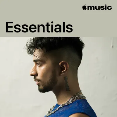 Rawal adlı sanatçının yer aldığı Tsumyoki Essentials çalma listesini dinle