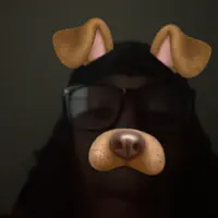 收听 undefined、观看音乐视频、阅读小传、查看巡演日期等 ！