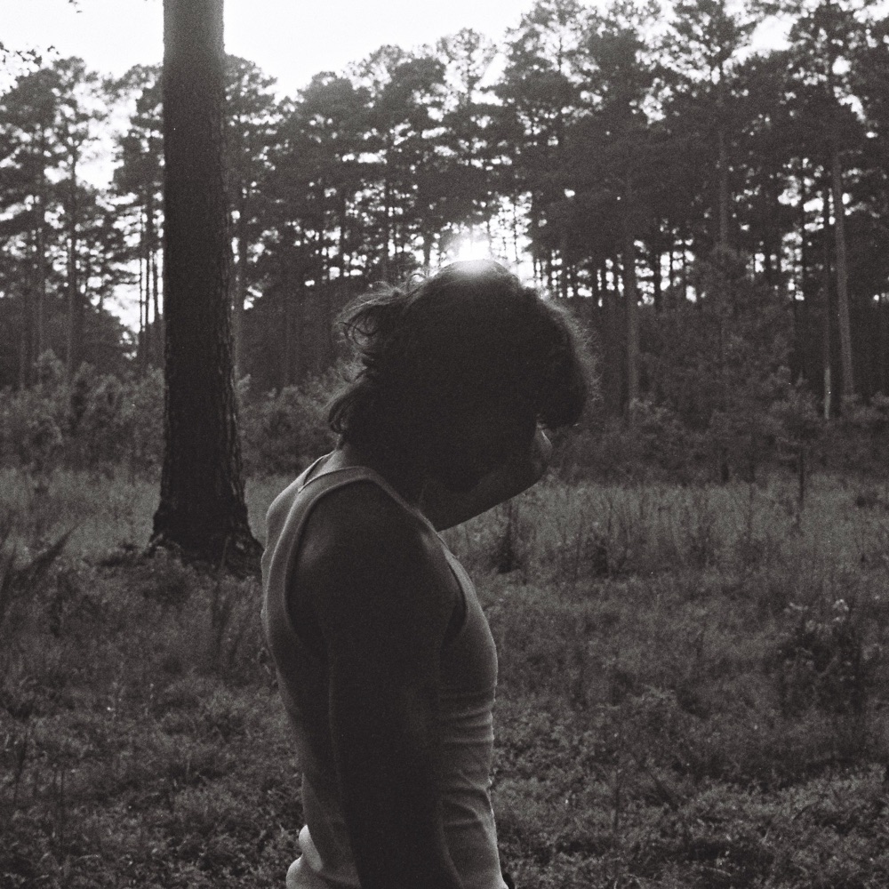 Maximilian - Pop artist