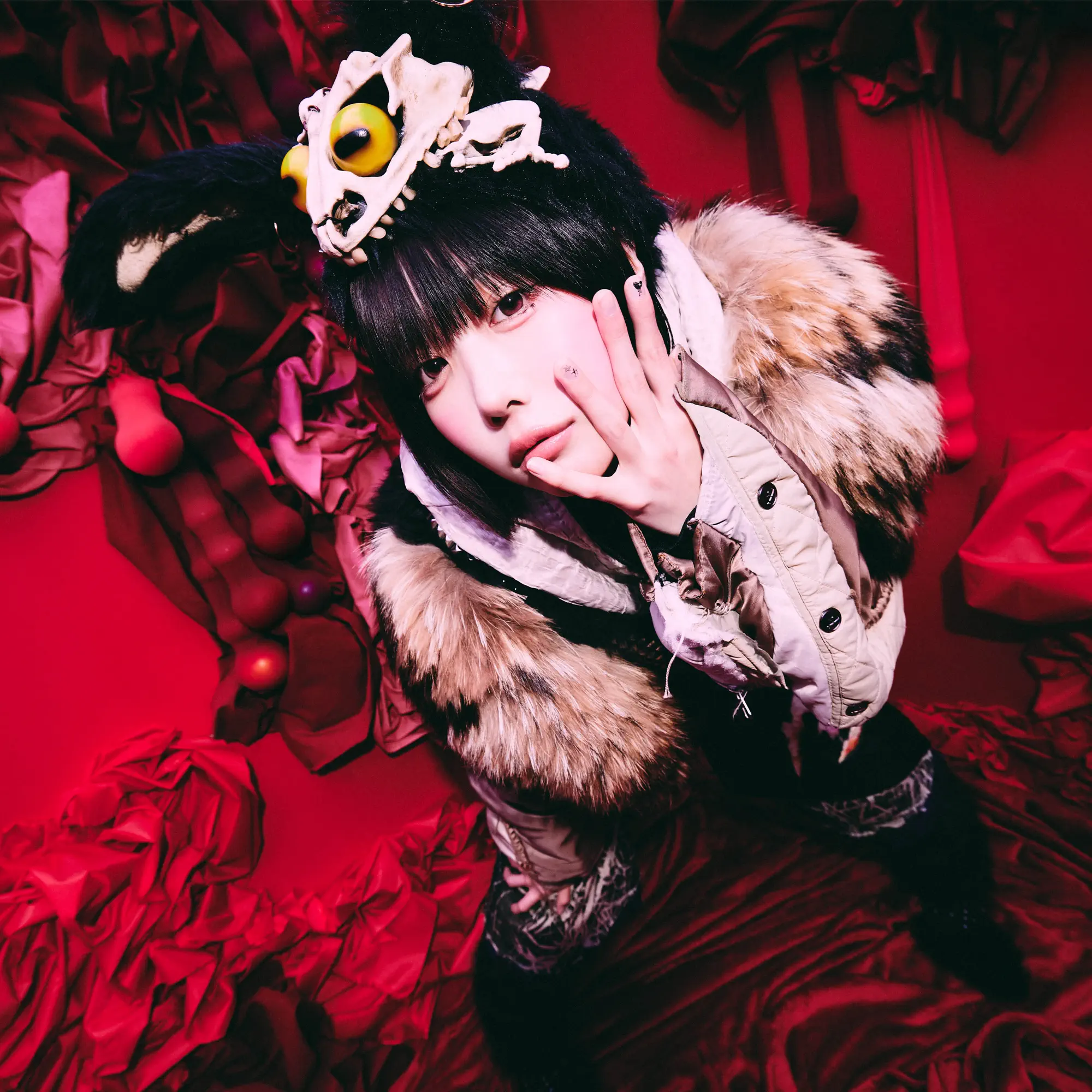 Happy Lucky Chappy - ano: Song Lyrics, Music Videos & Concerts