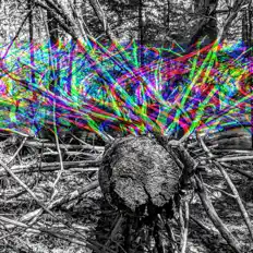 Hör dir The Ten Thousand Things an, schau dir Musikvideos an, lies die Biografie, finde Tourdaten und mehr!