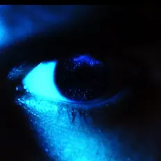 Oivalf을(를) 듣고, 뮤직 비디오를 보고, 약력을 읽고, 투어 일정 등을 확인하세요!