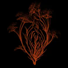 Ascolta Moonstone, guarda video musicali, leggi la biografia, vedi le date del tour & altro!