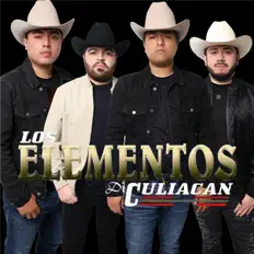 Ascolta Los Elementos de Culiacán, guarda video musicali, leggi la biografia, vedi le date del tour & altro!