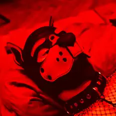 Sempi wolfを聴いたり、ミュージックビデオを鑑賞したり、経歴やツアー日程などを確認したりしましょう！