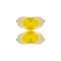 Ouça Labadé, assista a videoclipes, leia a biografia, veja as datas das turnês e mais!