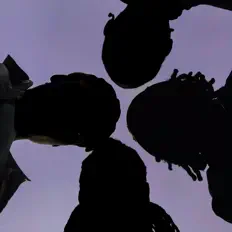 Listen to TRDMRK DA VYB3, watch music videos, read bio, see tour dates & more!