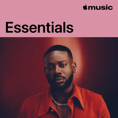Adekunle Gold adlı sanatçının yer aldığı Adekunle Gold Essentials çalma listesini dinle