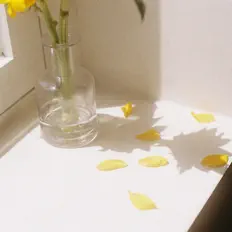 SEIN을(를) 듣고, 뮤직 비디오를 보고, 약력을 읽고, 투어 일정 등을 확인하세요!