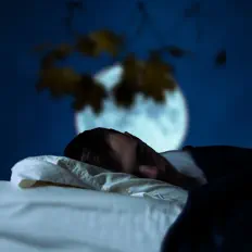 收听 Serenity Quest、观看音乐视频、阅读小传、查看巡演日期等 ！