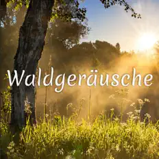 Waldgeräuscheを聴いたり、ミュージックビデオを鑑賞したり、経歴やツアー日程などを確認したりしましょう！
