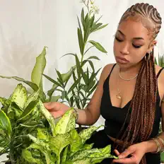 Listen to Amirah Lov3, watch music videos, read bio, see tour dates & more!