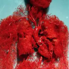 GARÇONGLAM0URを聴いたり、ミュージックビデオを鑑賞したり、経歴やツアー日程などを確認したりしましょう！