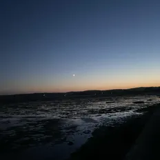 Fùkoを聴いたり、ミュージックビデオを鑑賞したり、経歴やツアー日程などを確認したりしましょう！