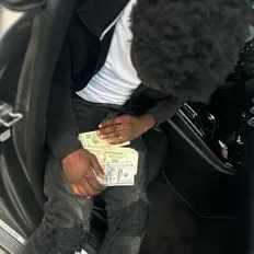 Listen to Dragnutz, watch music videos, read bio, see tour dates & more!