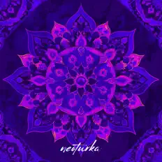 聆聽 NeoTurka、觀看音樂影片、閱讀小傳、查看巡演日期等！