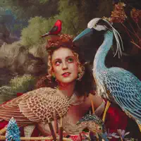 undefinedを聴いたり、ミュージックビデオを鑑賞したり、経歴やツアー日程などを確認したりしましょう!