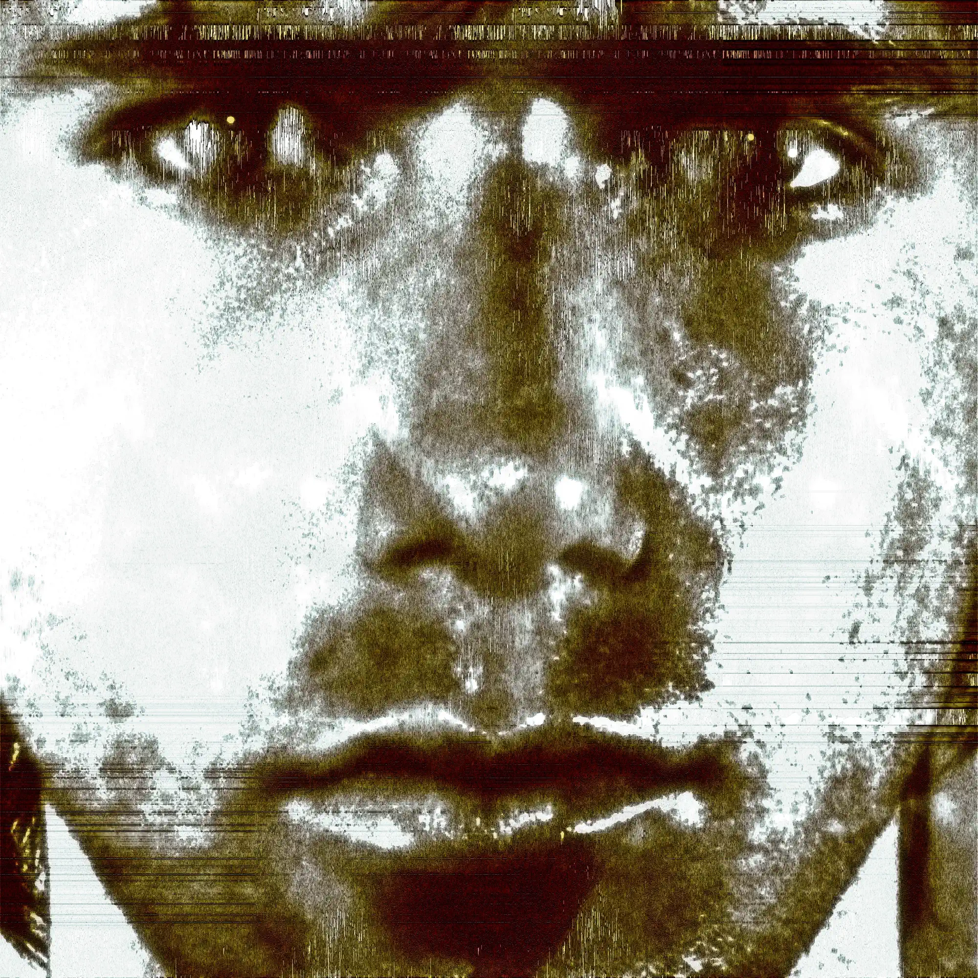 IAMWHATIAM AAA 與真司郎 iamwhatiam パーカー フーディー ブラウン