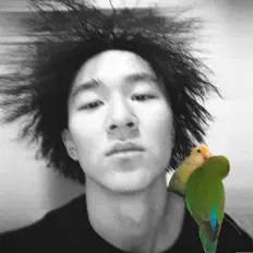 カワタコウセイ: песни, клипы, биография, даты выступлений и многое другое.