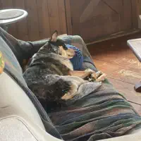 Listen to undefined, watch music videos, read bio, see tour dates & more!