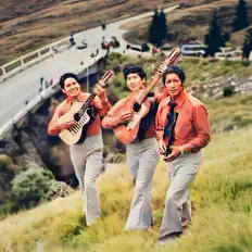 Listen to Trío Fronterizo Oficial, watch music videos, read bio, see tour dates & more!