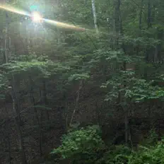 Listen to Jais, watch music videos, read bio, see tour dates & more!