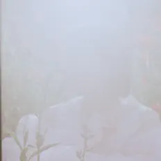 Rui Fujishiroを聴いたり、ミュージックビデオを鑑賞したり、経歴やツアー日程などを確認したりしましょう！