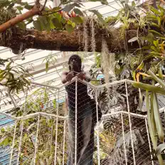 Ouça Jexremy, assista a videoclipes, leia a biografia, veja as datas das turnês e mais!