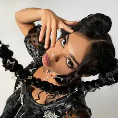 Ouve Pink Minx, vê vídeos de música, lê a biografia, vê as datas da digressão e muito mais!