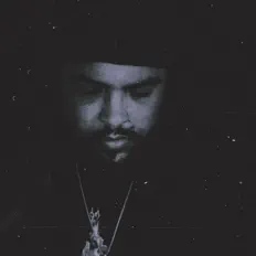 Young_Ricanを聴いたり、ミュージックビデオを鑑賞したり、経歴やツアー日程などを確認したりしましょう！