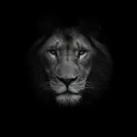 Poslechněte si interpreta undefined, sledujte hudební videa, přečtěte si životopis, podívejte se na data turné a další informace.