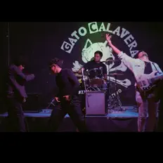 Ακούστε περιεχόμενο από La RataÖrquesta Felina, παρακολουθήστε μουσικά βίντεο, διαβάστε το βιογραφικό, δείτε ημερομηνίες περιοδείας, και πολλά ακόμη!