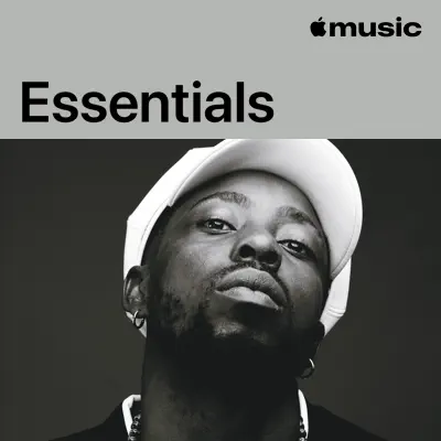 Hör dir Erigga Essentials mit Erigga an