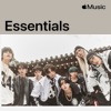 Stray Kids Essentials