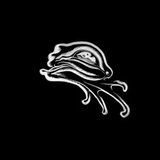 Hör dir froglegs an, schau dir Musikvideos an, lies die Biografie, finde Tourdaten und mehr!