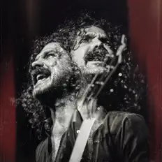 聆聽 Lord Buffalo、觀看音樂影片、閱讀小傳、查看巡演日期等！