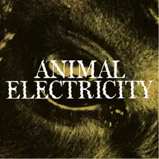 Dengarkan Animal Electricity, tonton video musik, baca bio, lihat tanggal tur & lainnya!